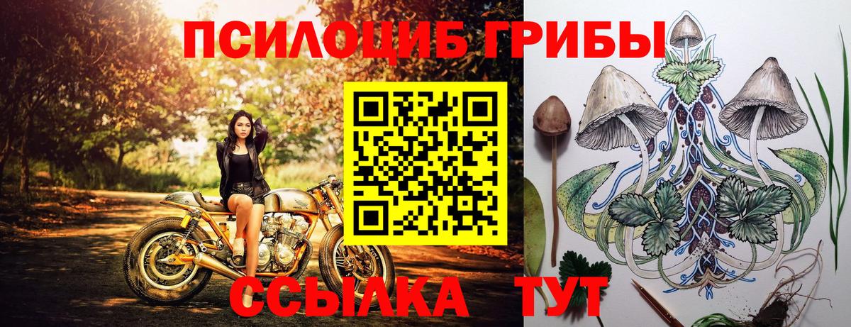 Галлюциногенные грибы Psilocybine cubensis Альметьевск