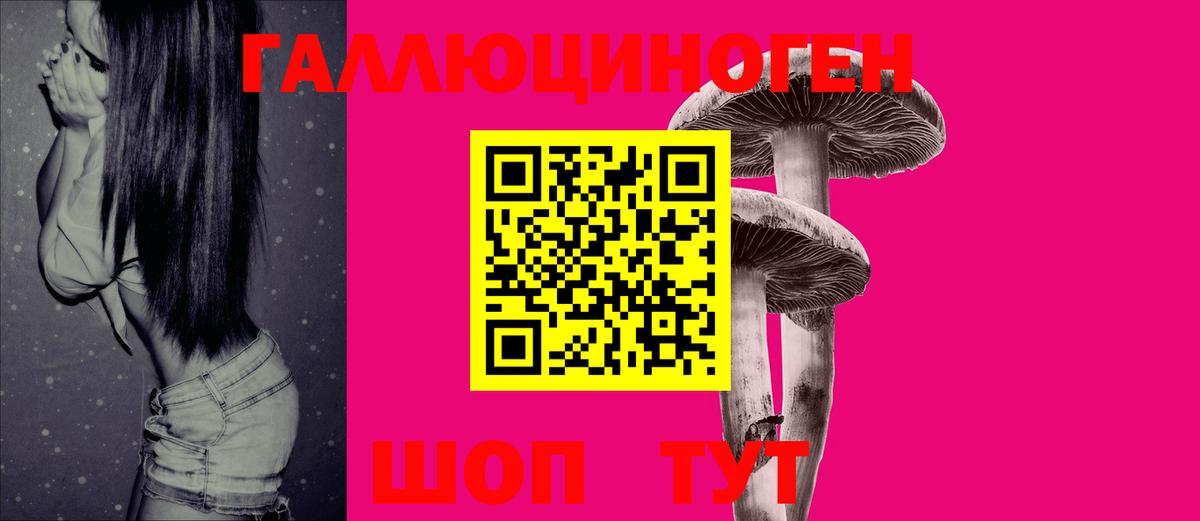 Альметьевск  хочу   Галлюциногенные грибы Psilocybine cubensis  Вход с VPN  Галлюциногенные грибы Psilocybe 